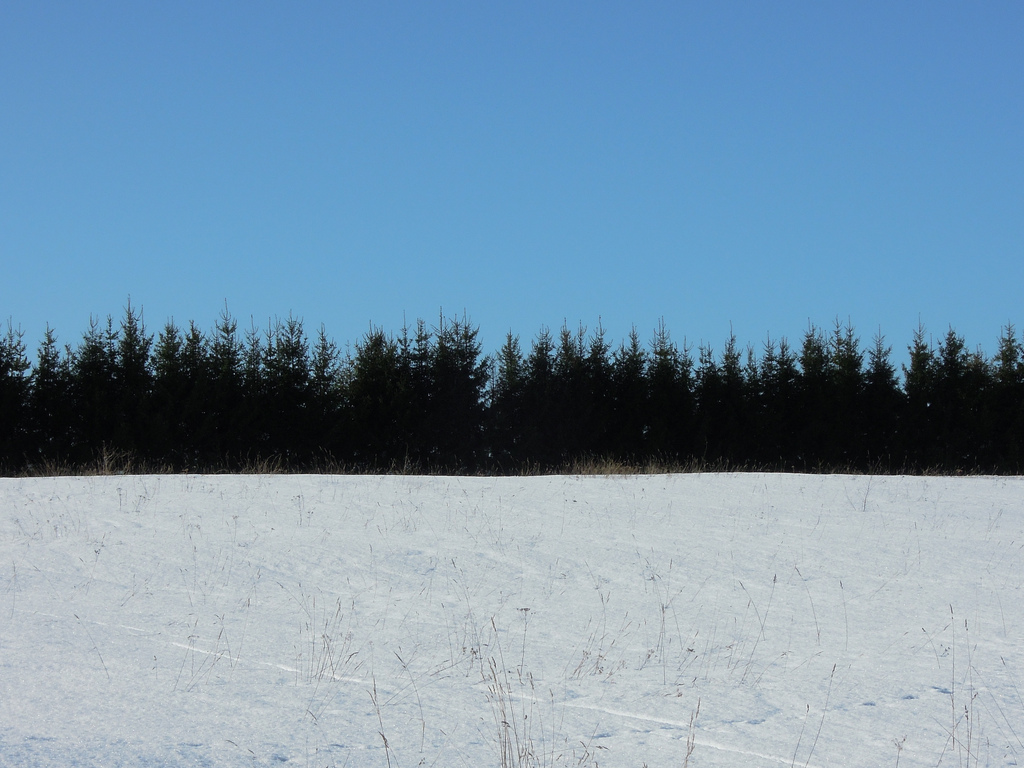 Lahtiolekuajad 23.-24. veebruaril