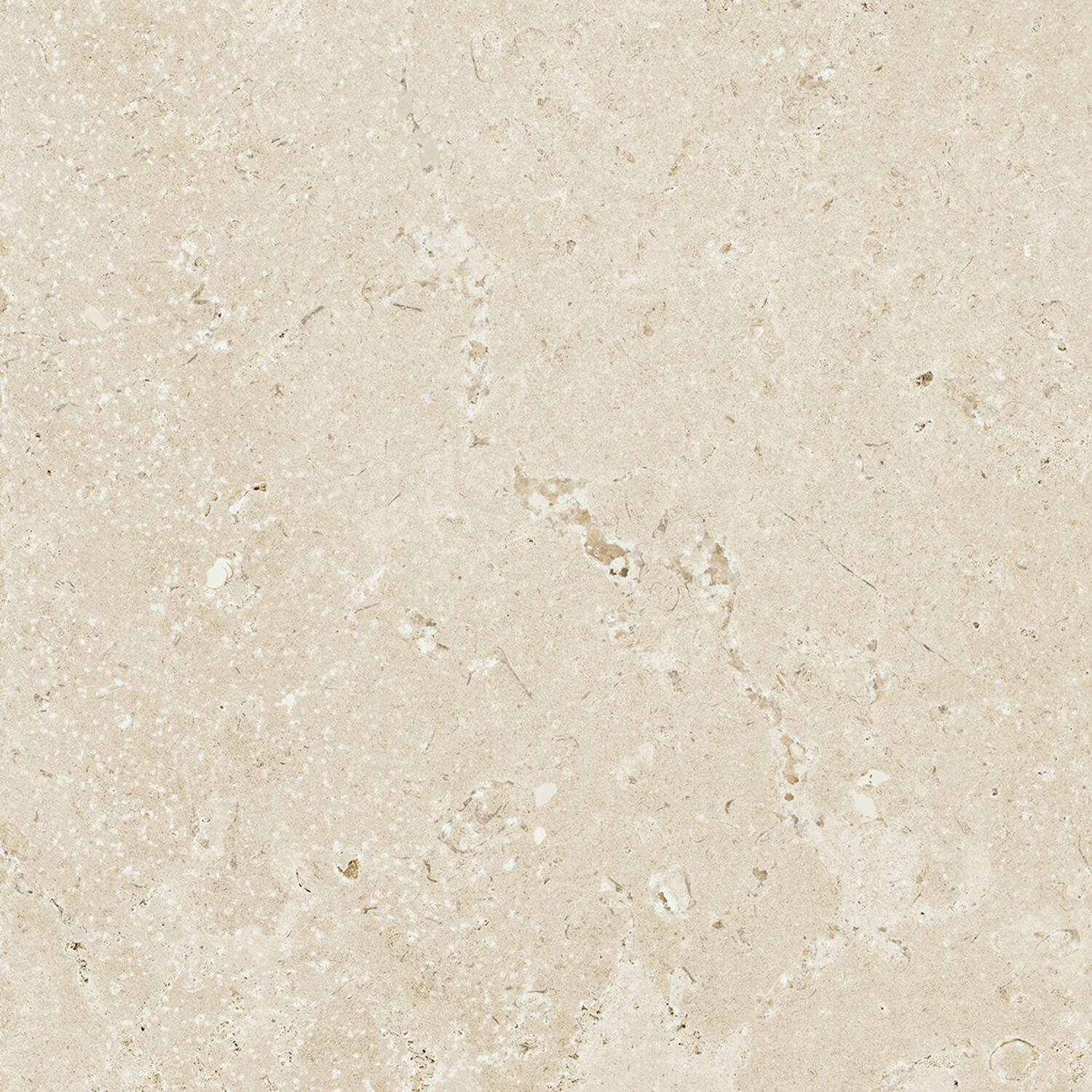 Floorin põrandad - Timeless Ivory 60x60