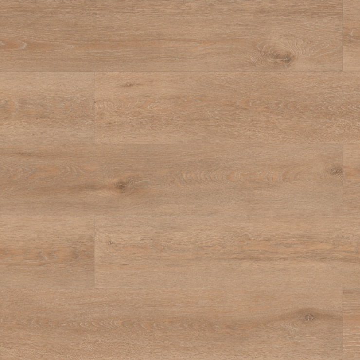 riga oak 