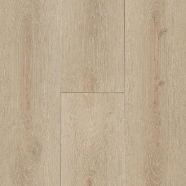 champs elysees pro 62002593