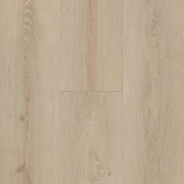 champs elysees 62002559