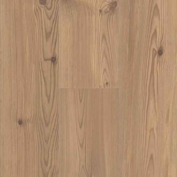 panderosa pine 62002808