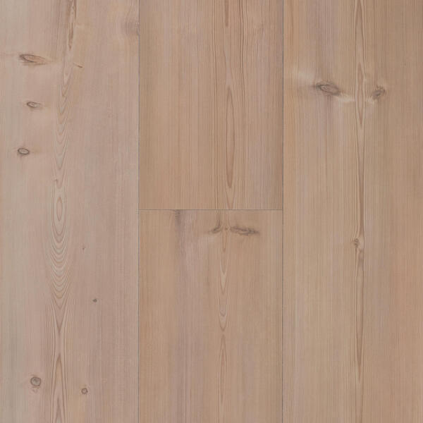 sunset boulevard 62002587