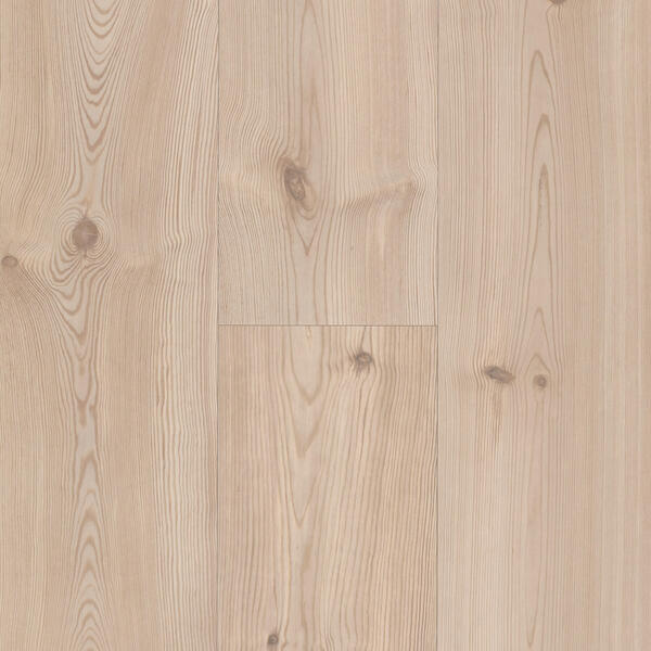danish pine 62002826