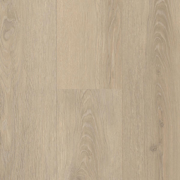 champs elysees 62002738