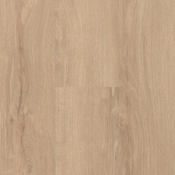 rodeo drive 62002737