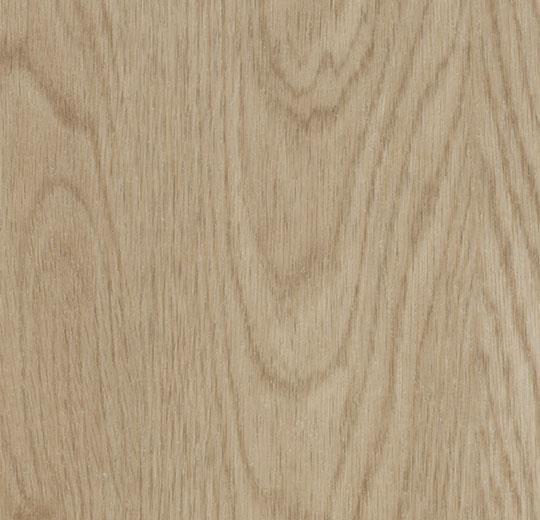 Floorin põrandad - whitewash elegant oak