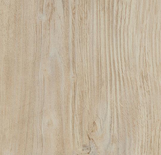 bleached rustic pine 60084CL5