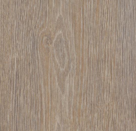 Floorin põrandad - steamed oak 120