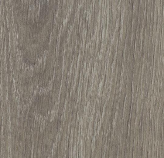 Floorin põrandad - grey giant oak 150