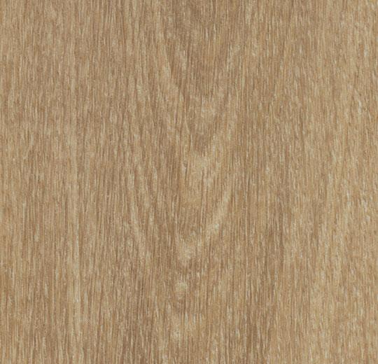 Floorin põrandad - natural giant oak 150