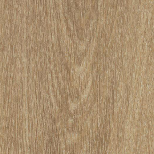 natural giant oak 60284PZ7