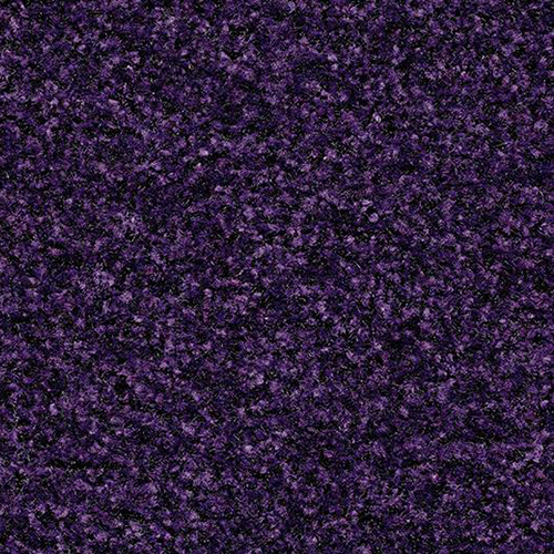 royal purple 5709
