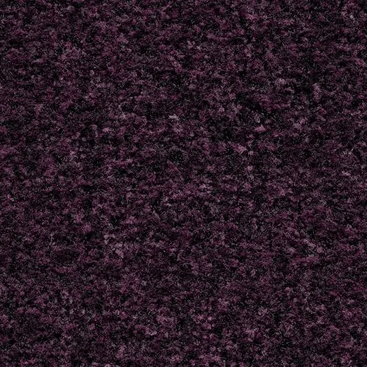 byzantine purple 5739