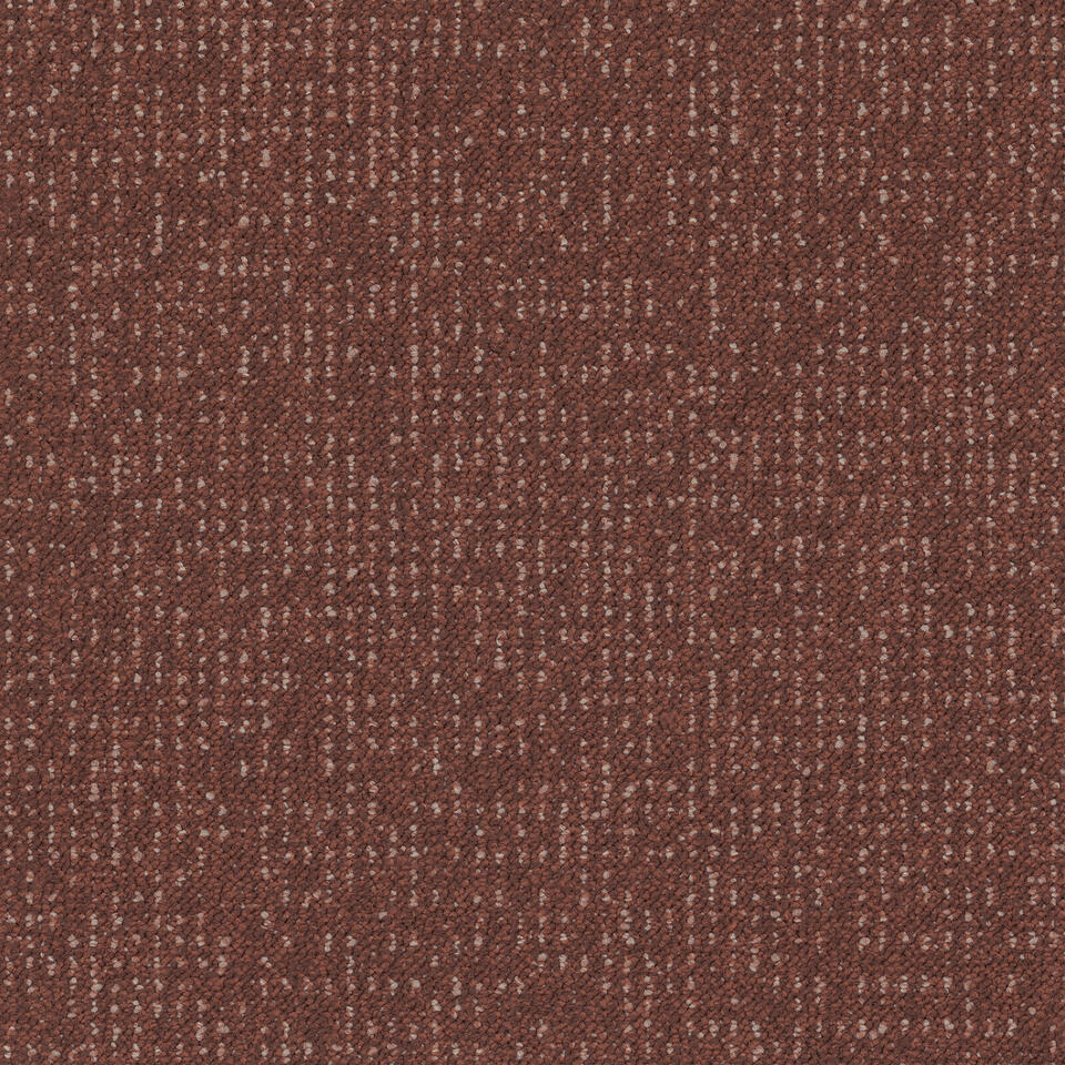 enlaced 4311
