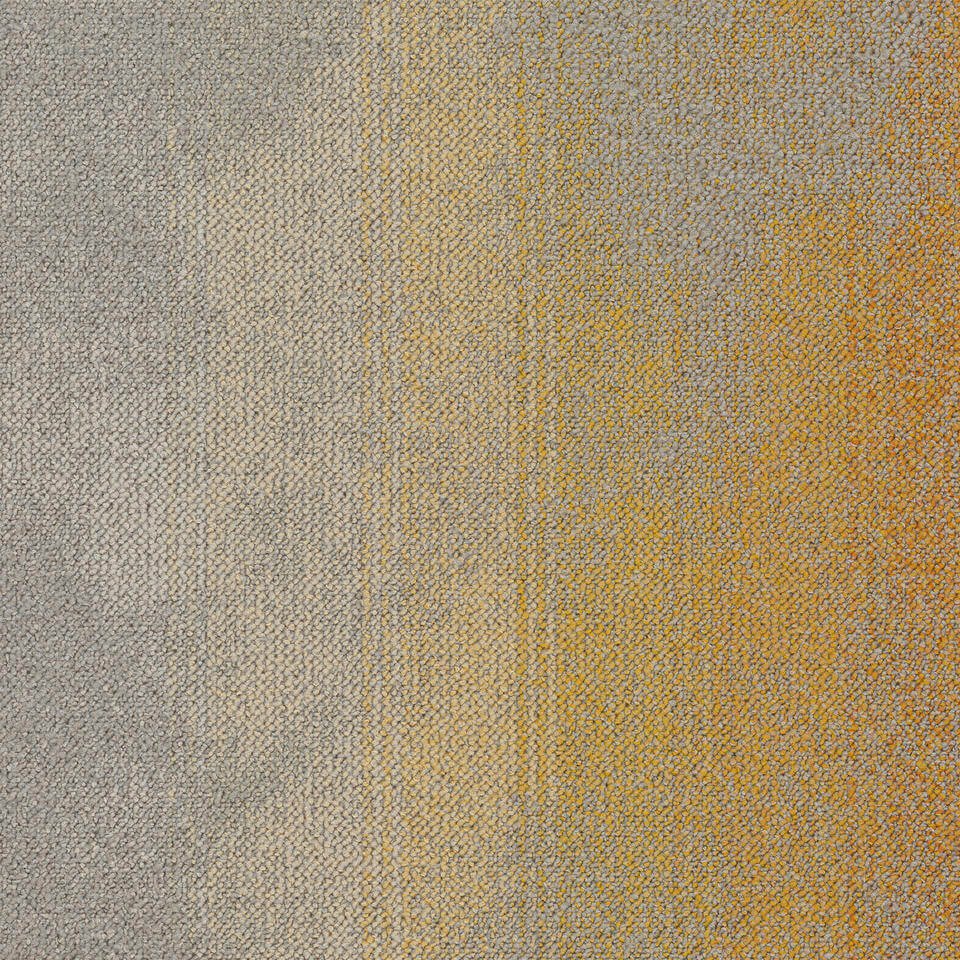 serene colour 6113