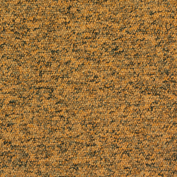 tempra 6018