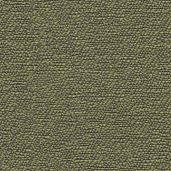 Thyme J563n