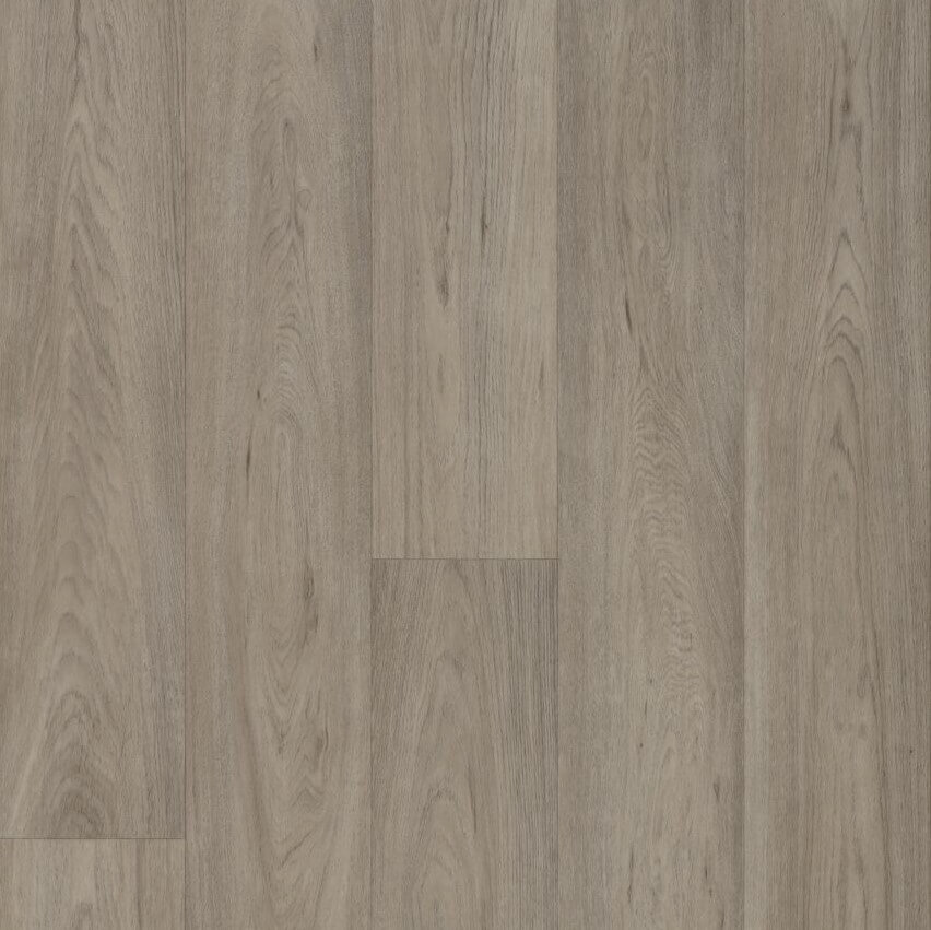 grey oak 68962