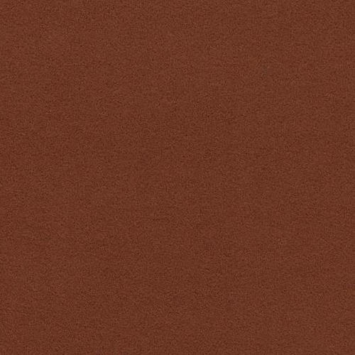 cinnamon 211094