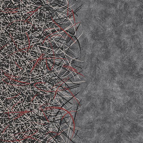 Floorin põrandad - ruby A4