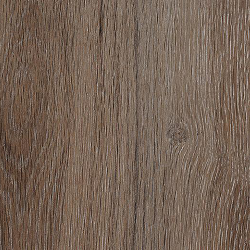 chocolate oak 69123