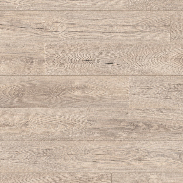 Mushroom Carpenter Oak K478