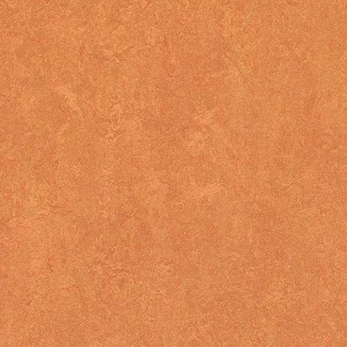 Floorin põrandad - African desert