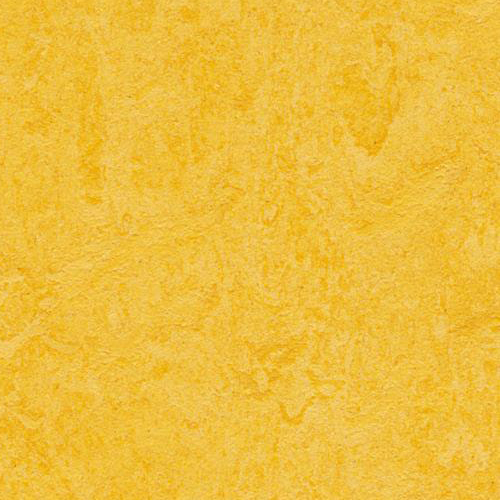 lemon zest t3251