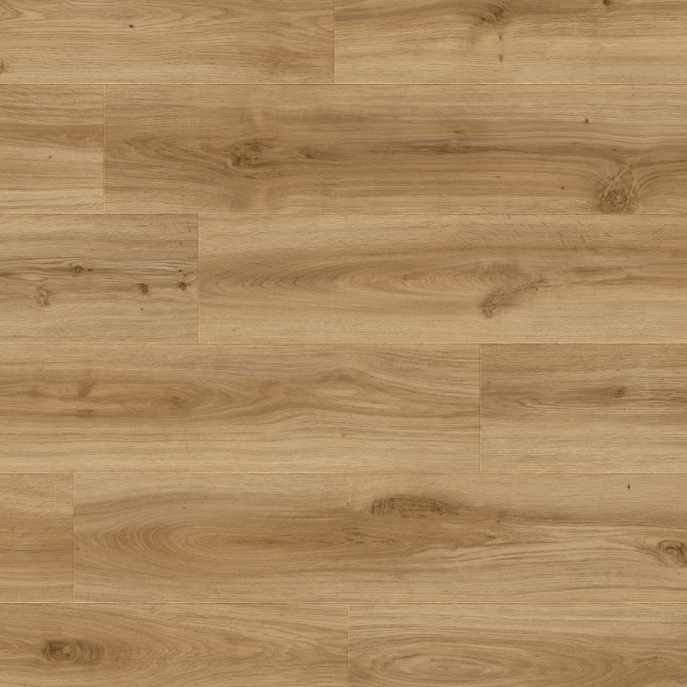 classic oak 24837LR