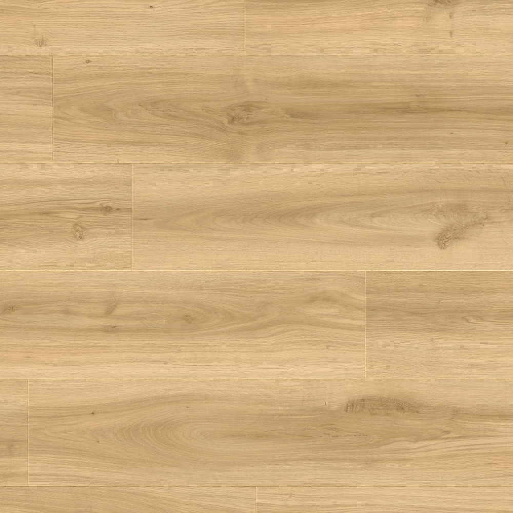 classic oak 24844LR