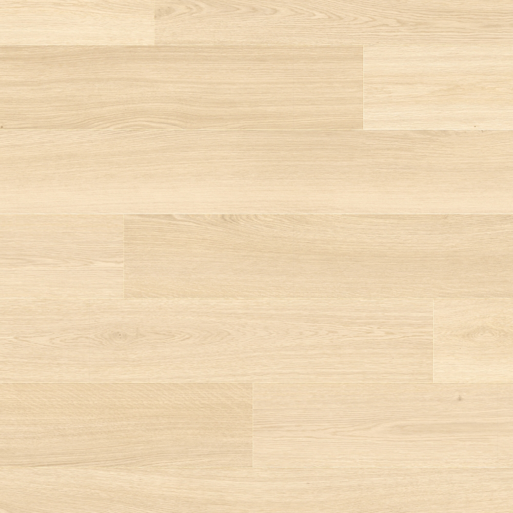 Haarlemmer Oak 64212LR