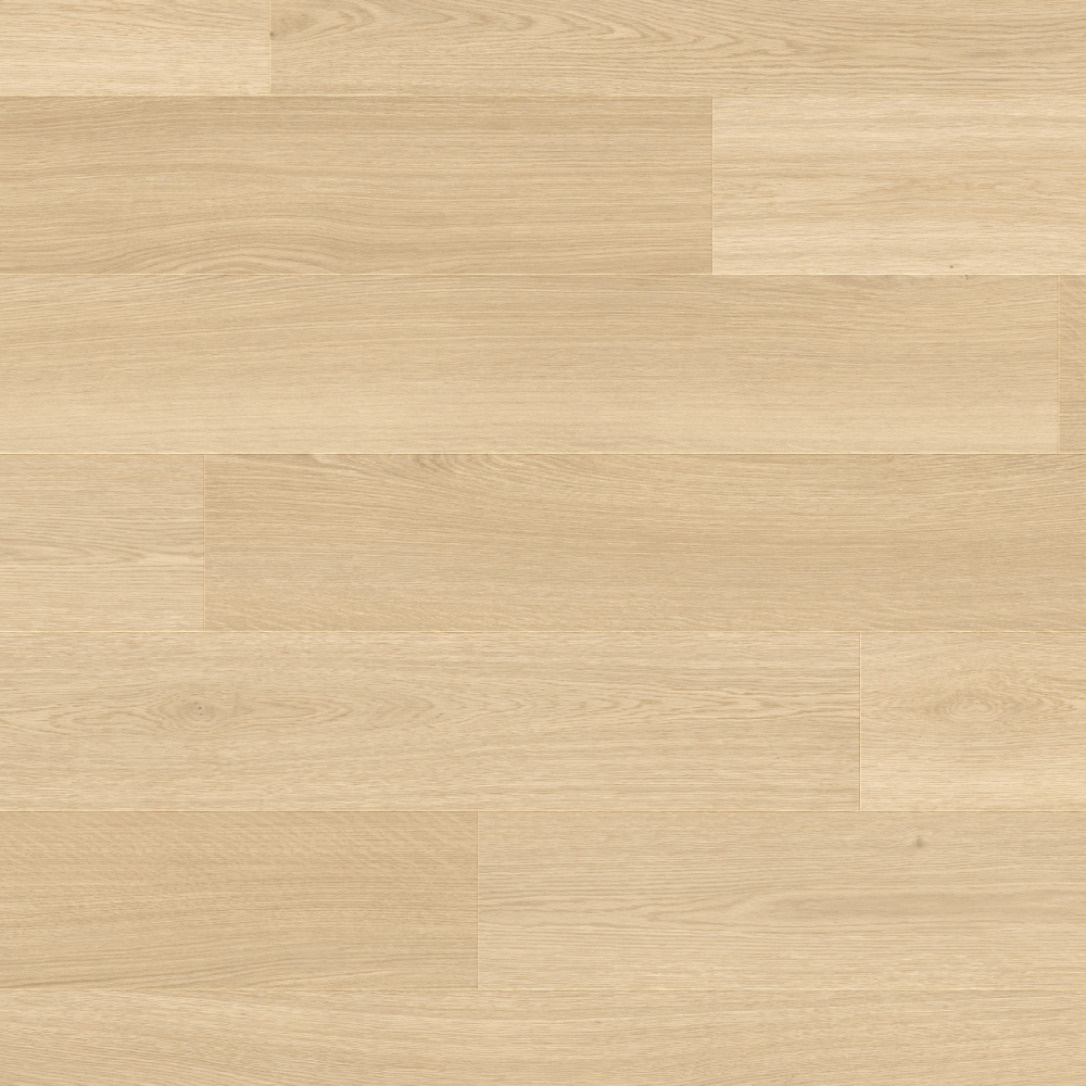 Haarlemmer Oak 64249LR