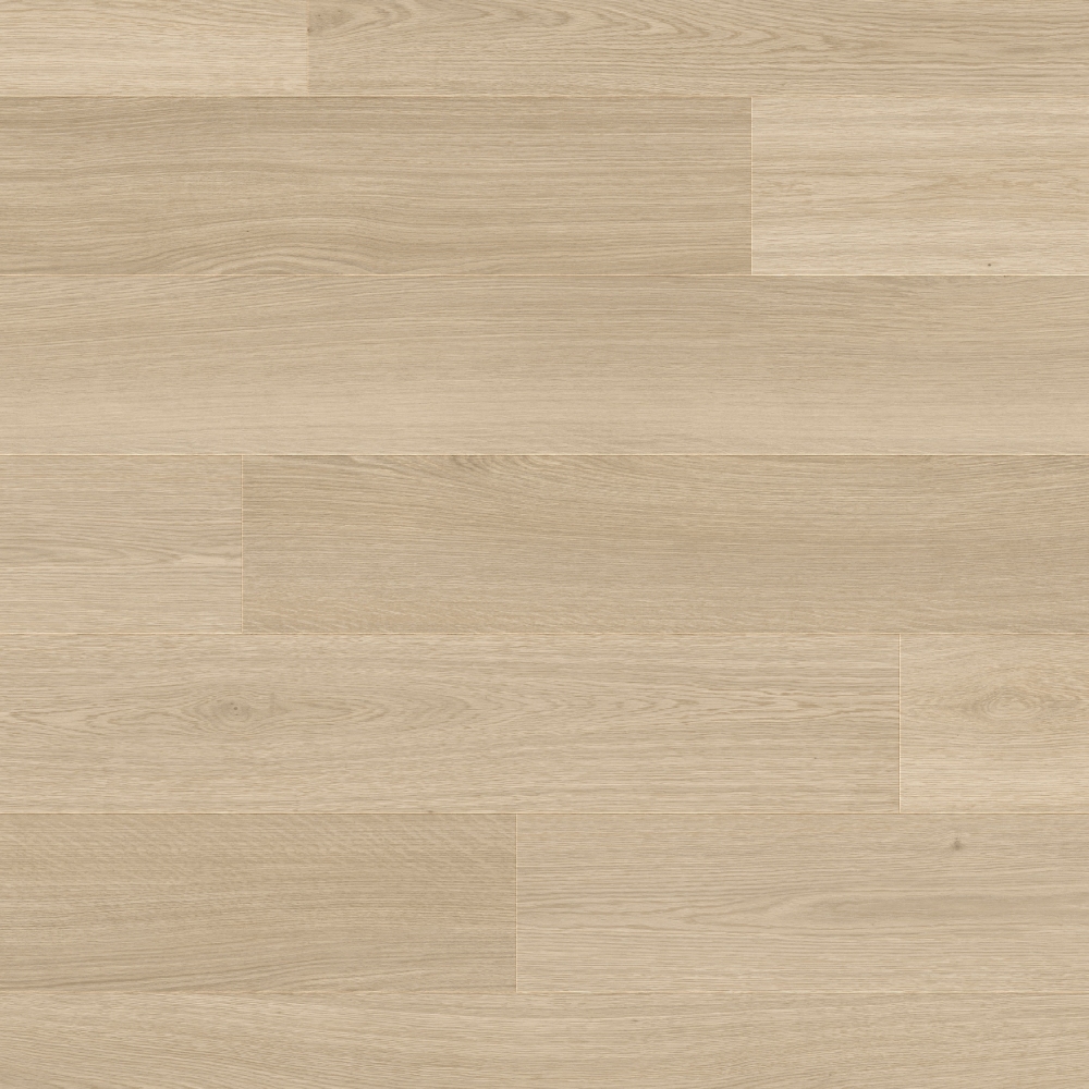 Haarlemmer Oak 64250LR