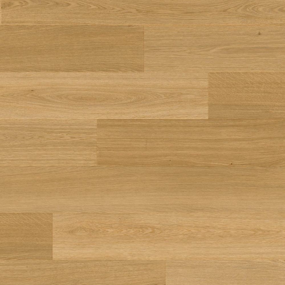 Haarlemmer Oak 64831LR