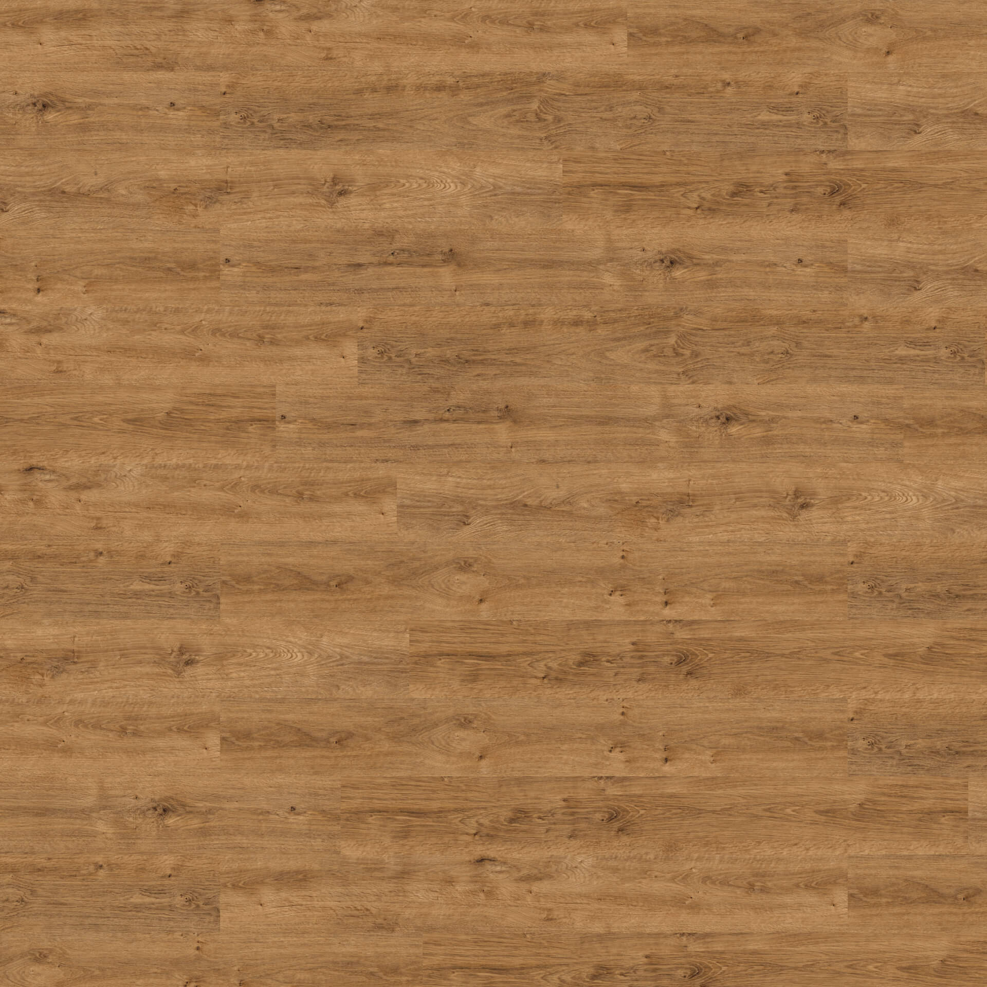 Floorin põrandad - honey classic oak
