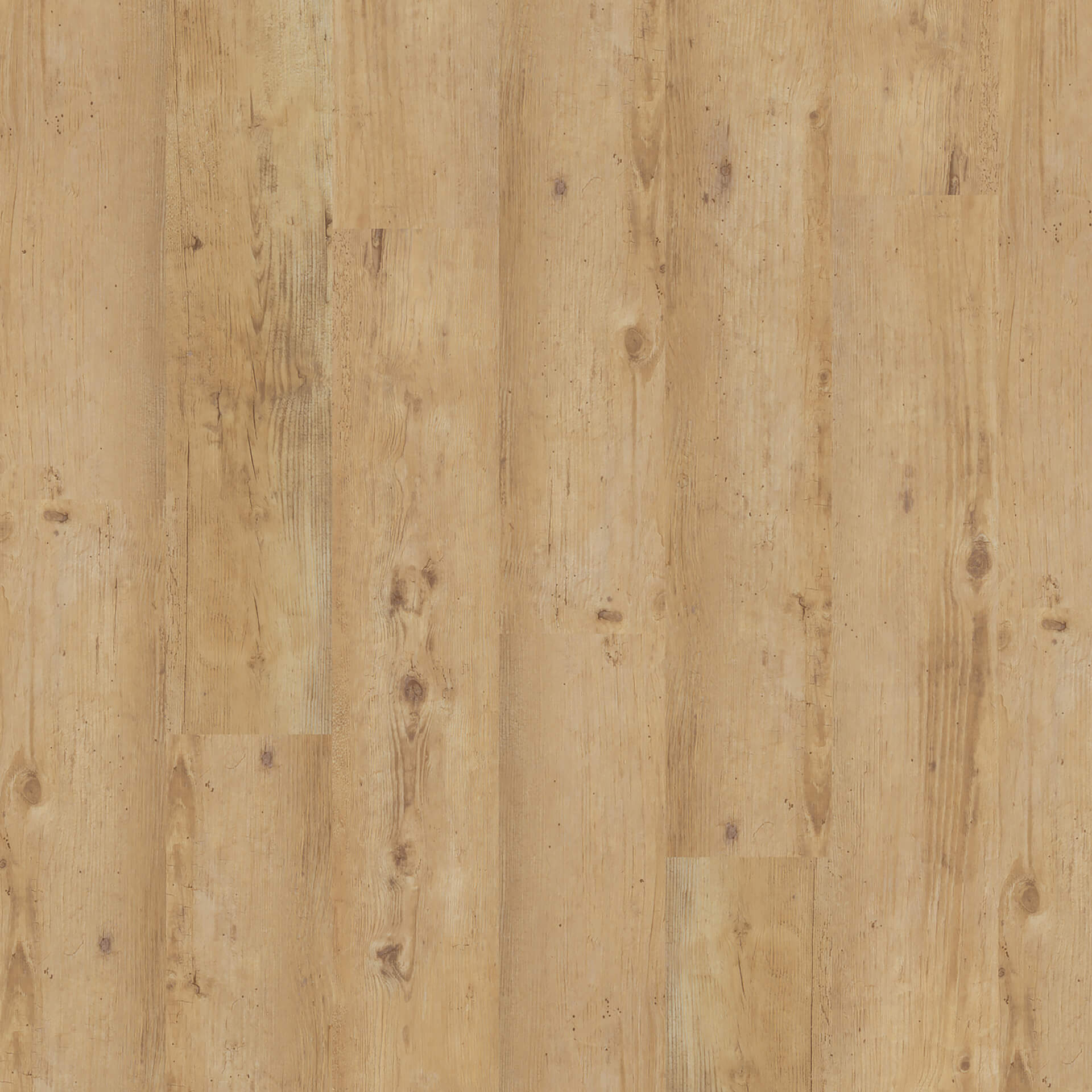 Floorin põrandad - blond country plank