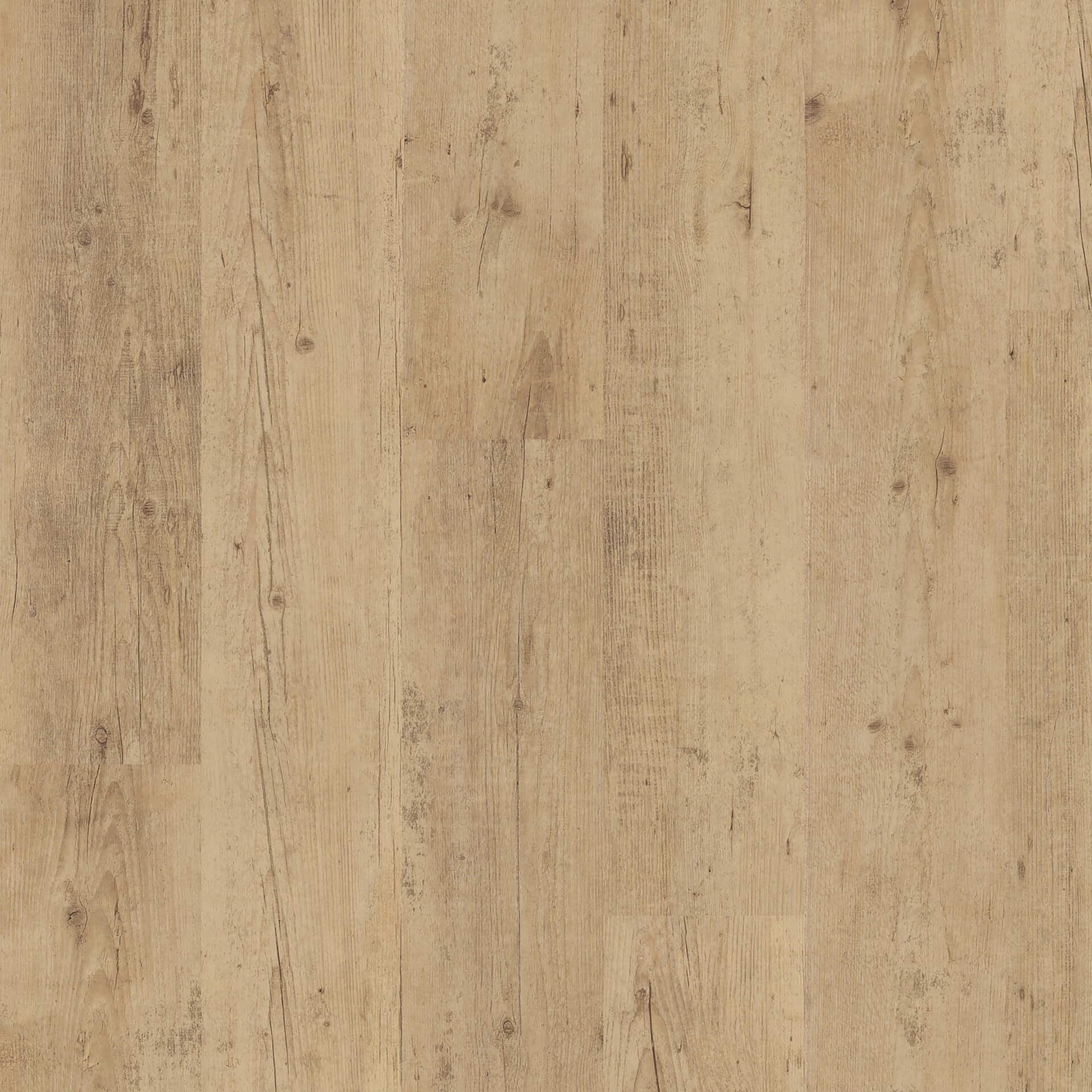 Floorin põrandad - shoreline oak