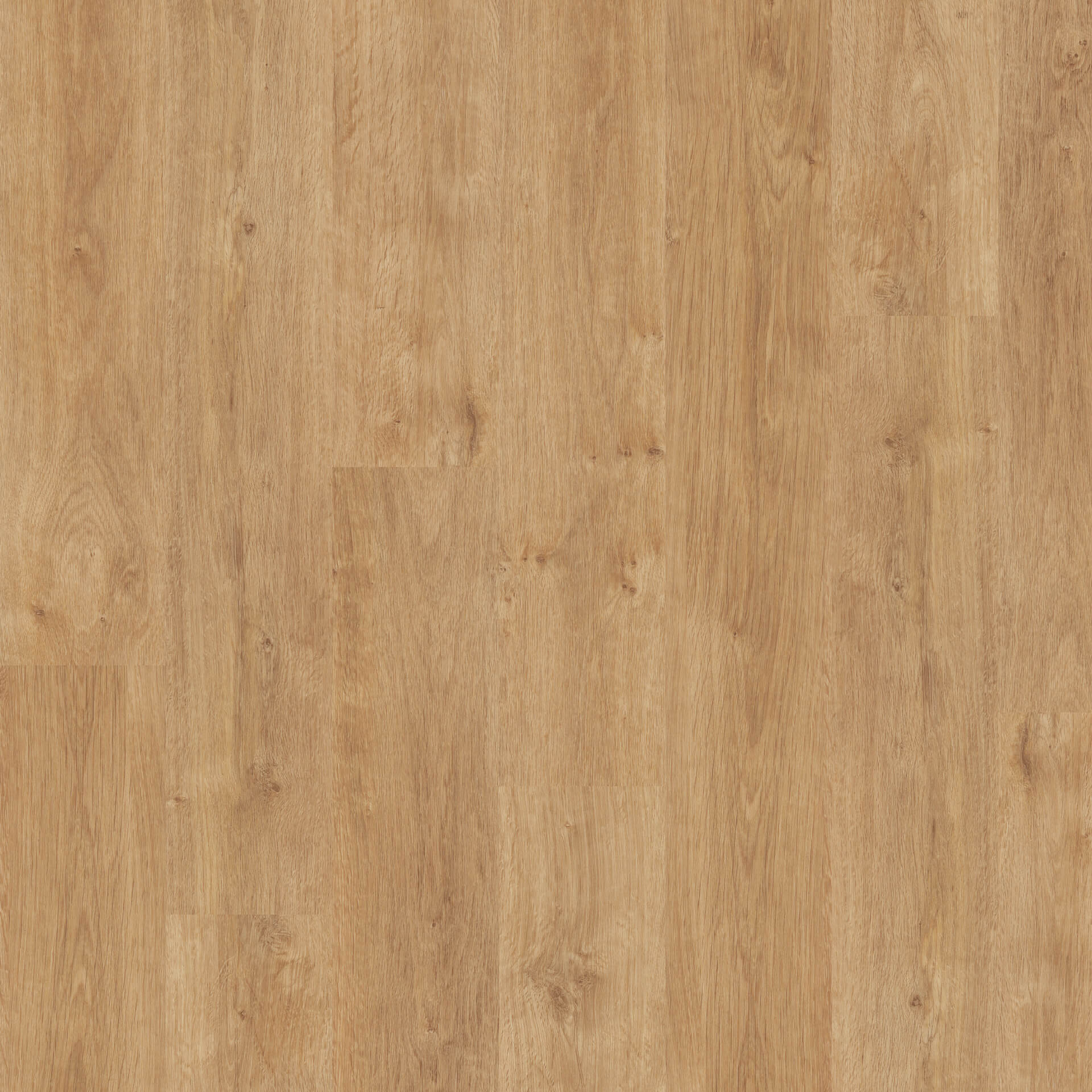 Floorin põrandad - light classic oak