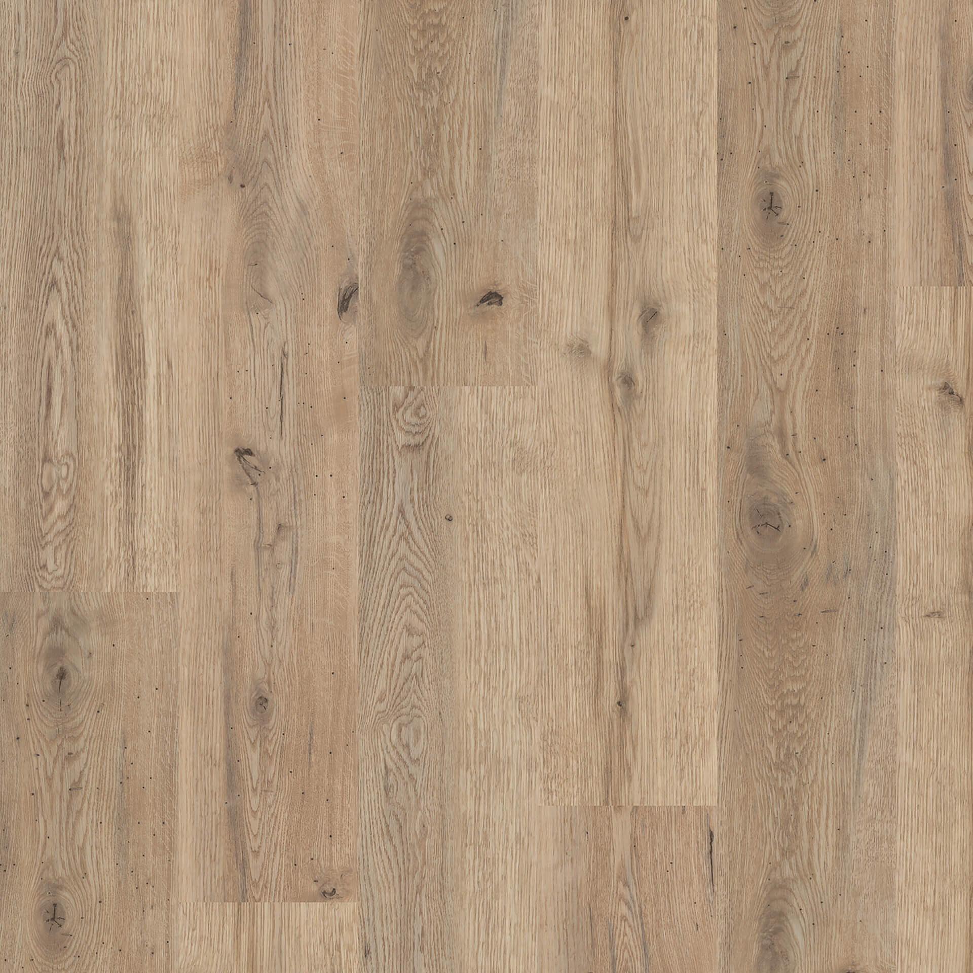 Floorin põrandad - oiled oak