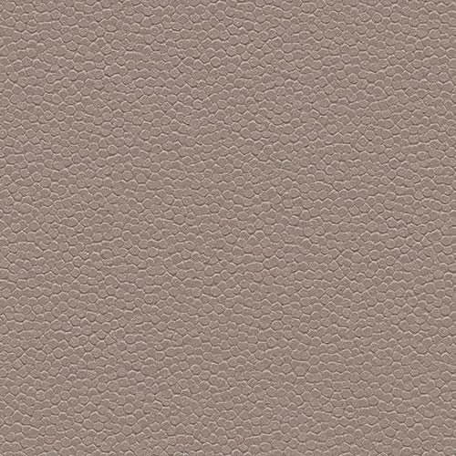 taupe 180232