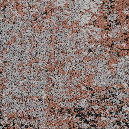 Floorin põrandad - Familiar Apricot