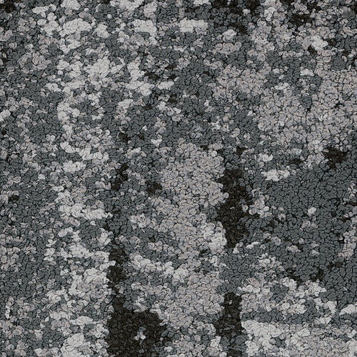 Floorin põrandad - Familiar Rainstorm