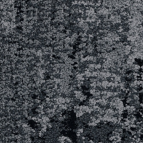 Floorin põrandad - Familiar Raven