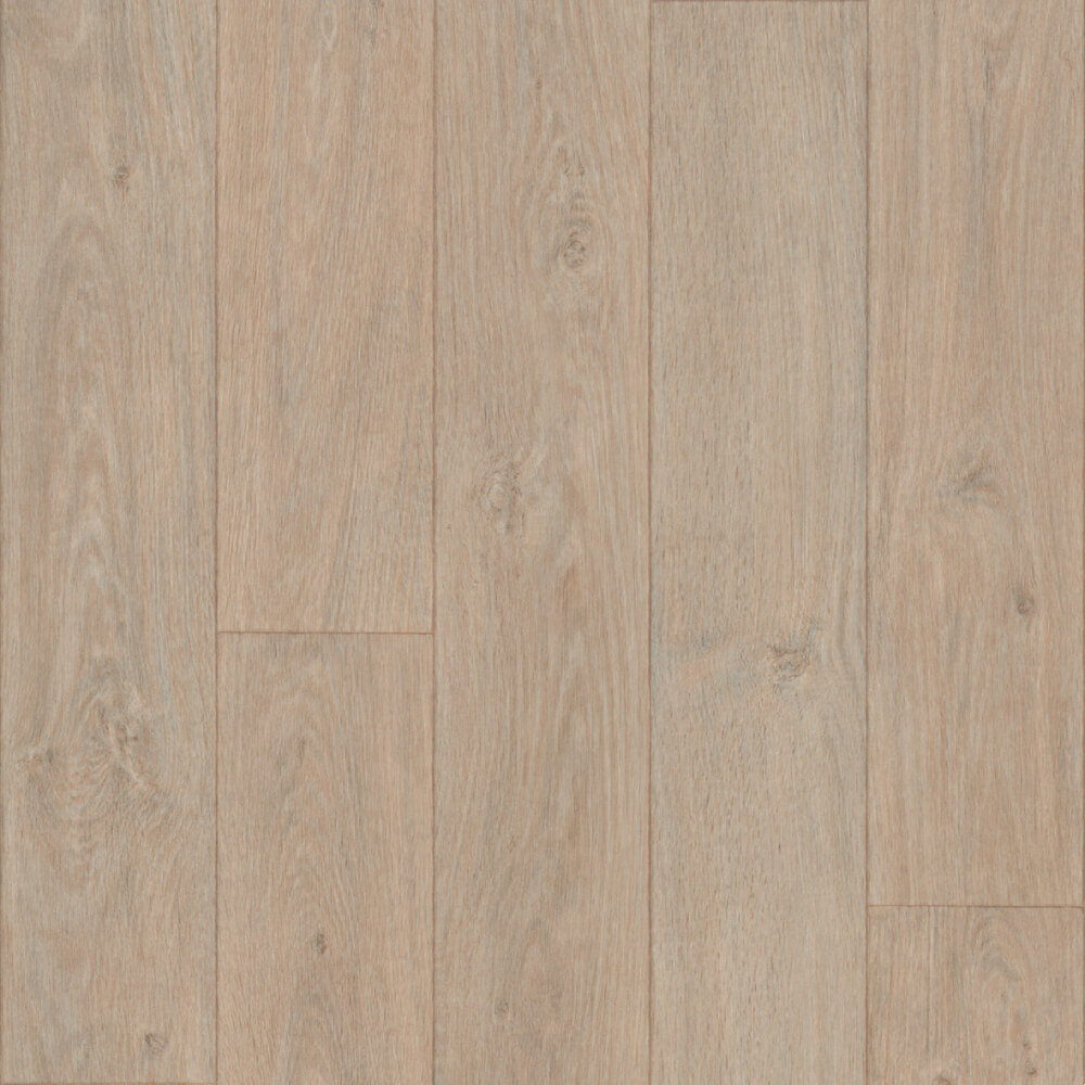 elegant oak 618802