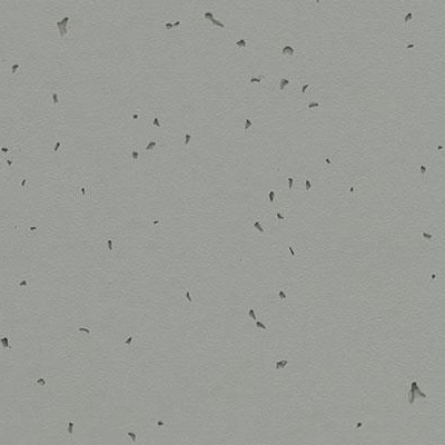 Floorin põrandad - pigeon